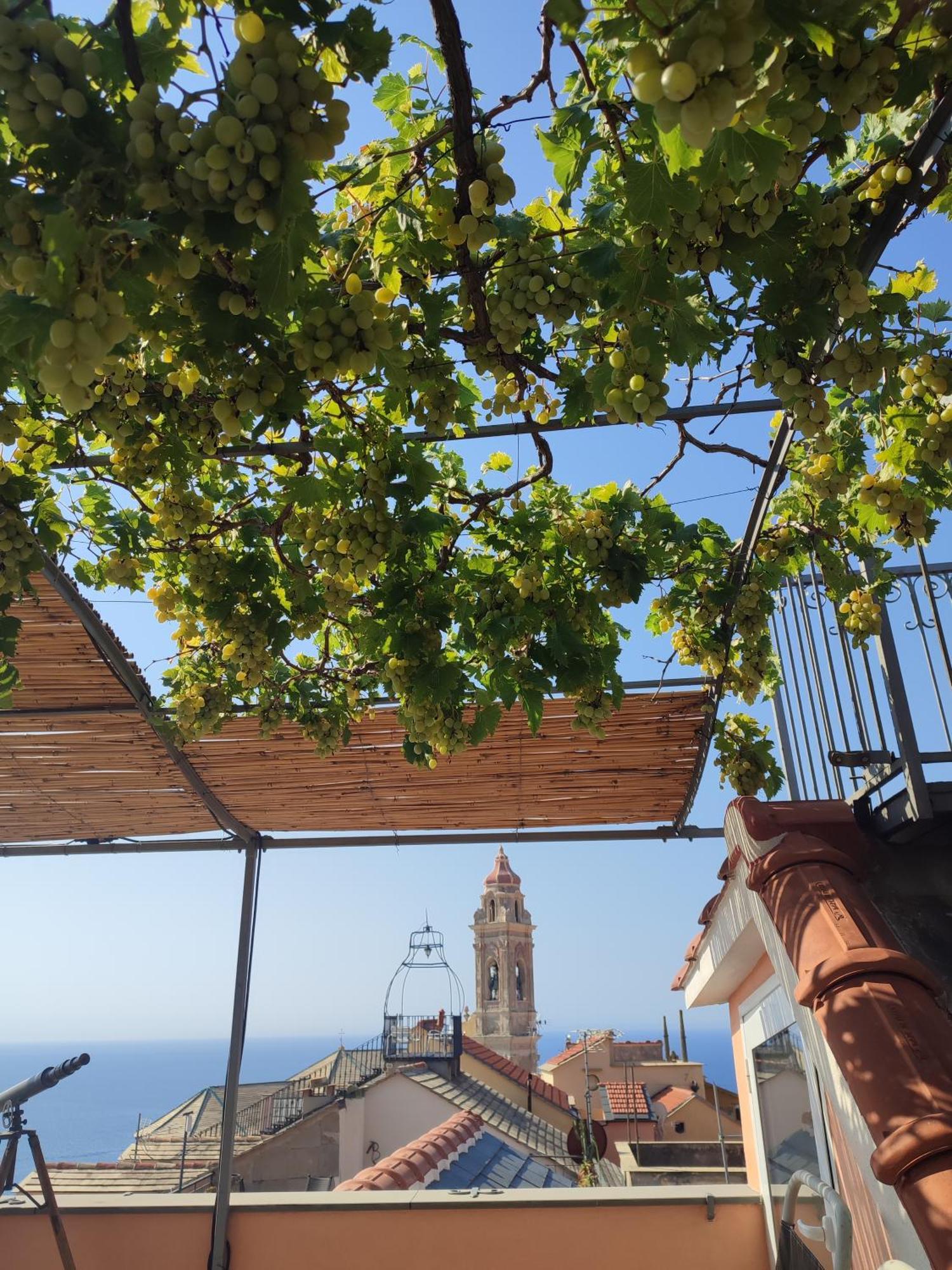 Hotel Eco Del Mare à Cervo Chambre photo